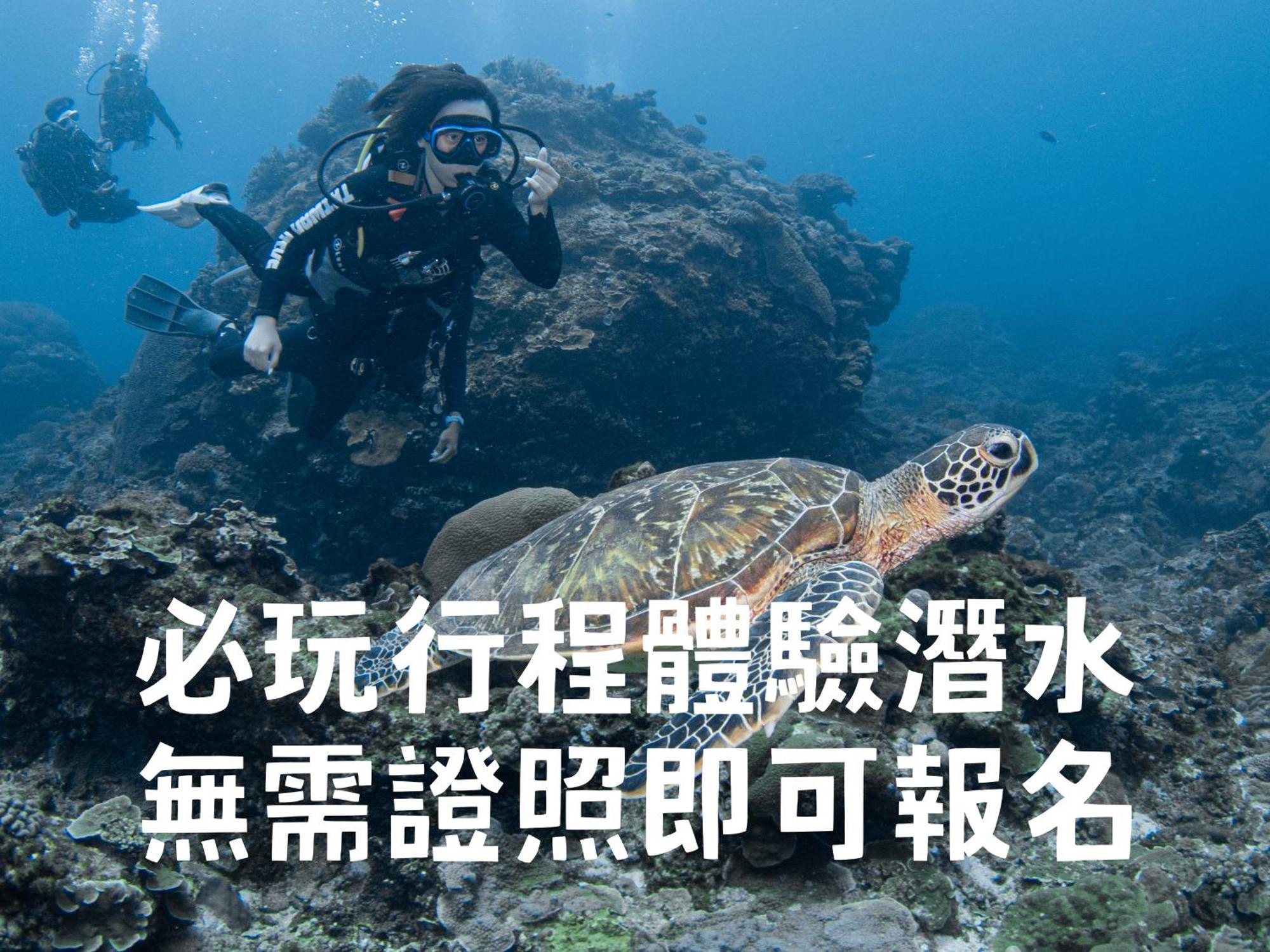 台灣潛水綠島店 Green Island Dive Экстерьер фото